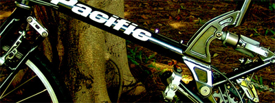 banner431.jpg